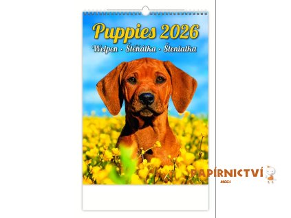 Nástěnný kalendář Puppies/Welpen/Štěňátka/Šteniatka 2026 240x330mm N181-26